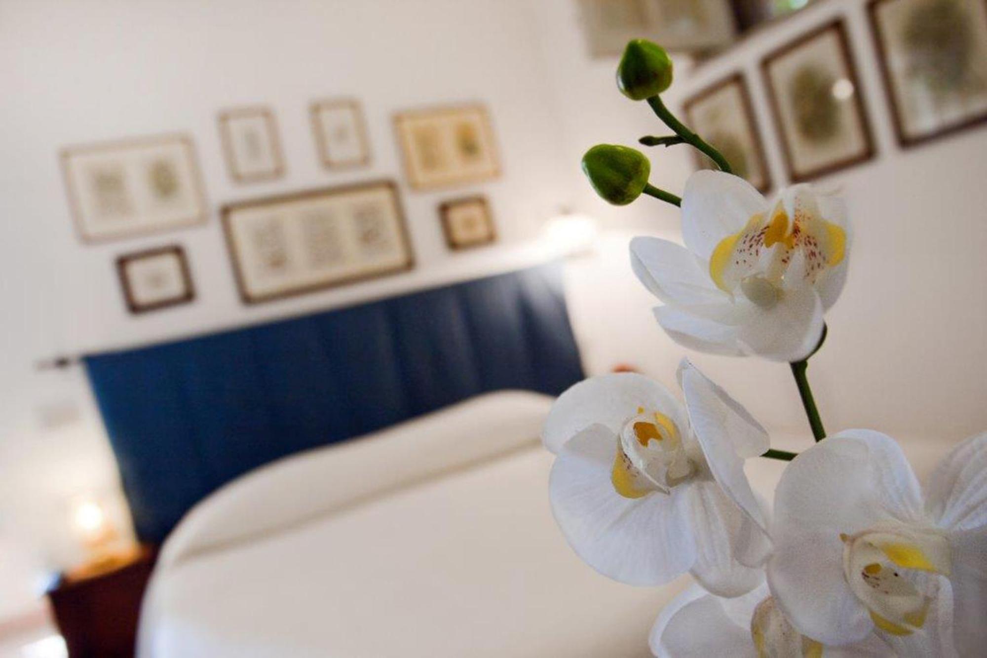 Bed and Breakfast Il Glicine Sul Golfo Mondello Pokoj fotografie